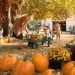 Fun at a pumpkin farm in Fall