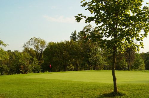 Plattsburg country club golf course